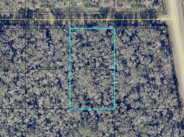 4815 Hildegard St, Hastings, FL 32145