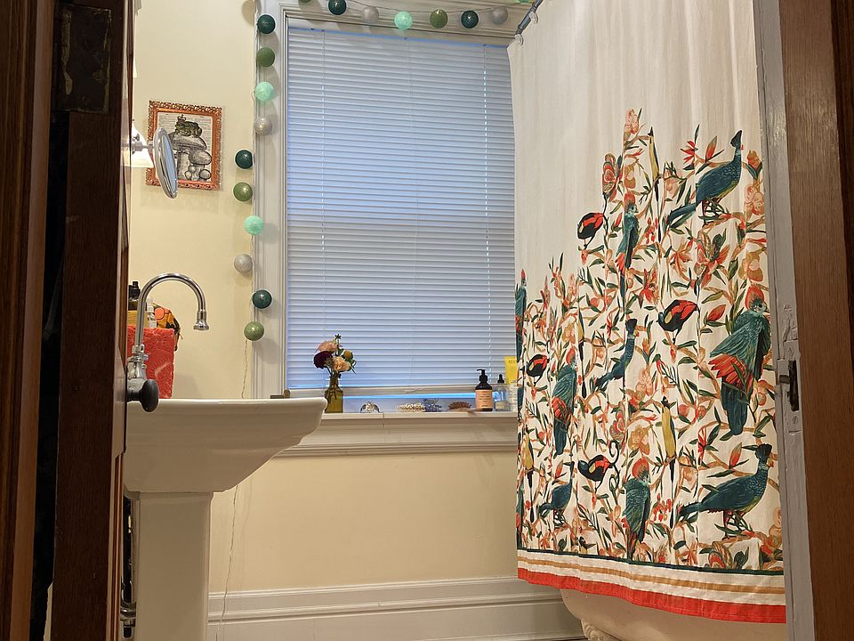 bath with fan, clawfoot tub / shower, updated lighting sink cabinets
