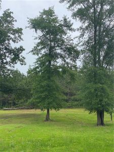 0 Crawford Loop, Pollock, LA, 71467