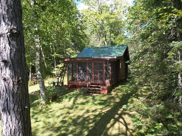60667 Tea Lake Rd, Marengo, WI 54855