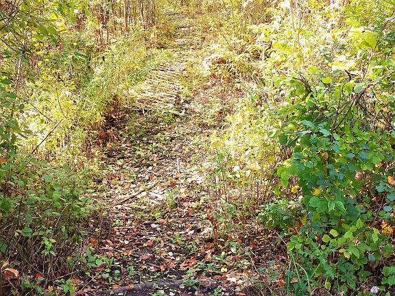Private Path to Lake