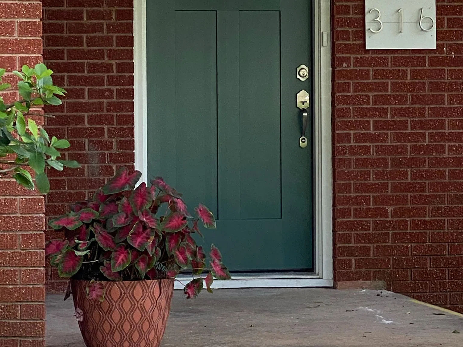 2 bed, 2000 sqft, $3,200 — Photo 2