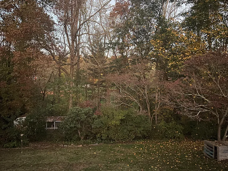 early fall backyard