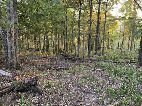 0 Harnisch Rd, Clifton, TN 38425