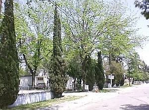 1st image of 1600 Walnut St Spc 8