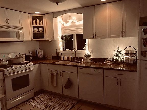 Updated Kitchen - Granite Countertops, Microwave, Stove, Refrigerator & walk-in pantry