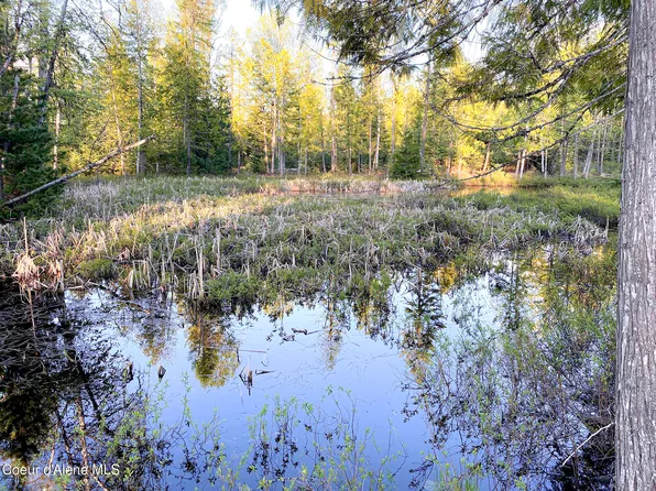 1150 Old Range Rd, Clark Fork, ID 83811