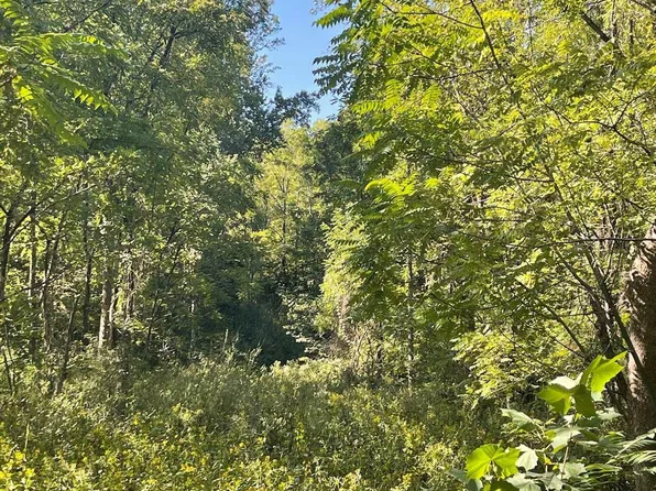 Stony Point Pass, Keswick, VA 22947