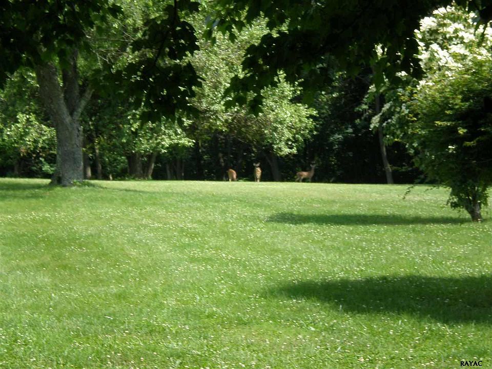 2nd image of 94 Cemetery Ave