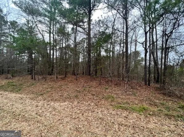 0 White Cedar Dr, Sparta, GA 31087