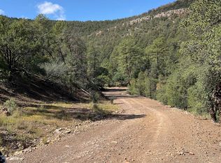 4 Georgetown Rd, Hanover, NM 88041