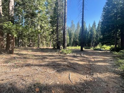 16070 Ophir Silver Rd, Nevada City, CA, 95959