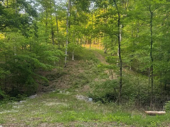 6.96 Star Point Rd, Byrdstown, TN 38549