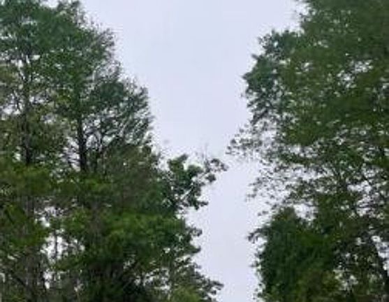 Exterior Neighborhood (street photo)