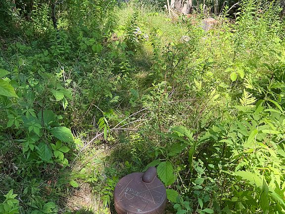 5th image of 524 Millvale Road