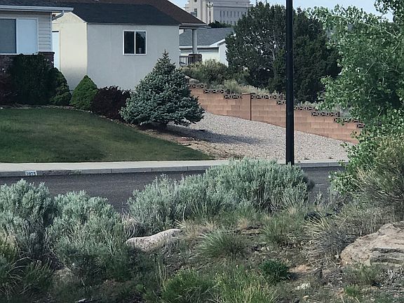 View from front window