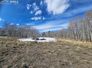 417 Aspen Way Dr, Florissant, CO 80816