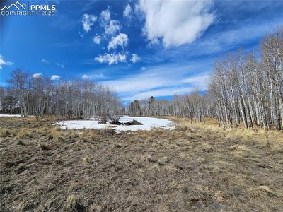 417 Aspen Way Dr, Florissant, CO, 80816