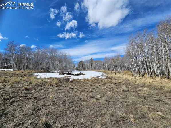 417 Aspen Way Dr, Florissant, CO 80816