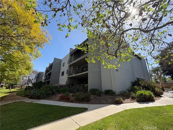 246 E Fern Ave APT 103, Redlands, CA 92373