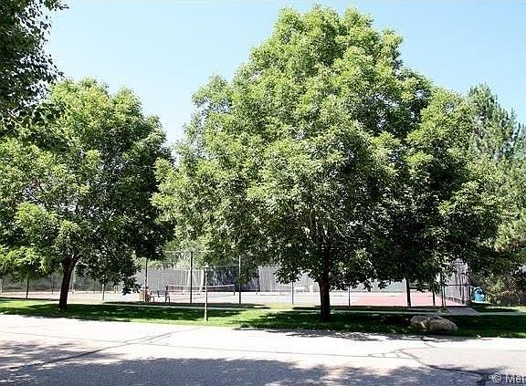 Driving up neighborhood