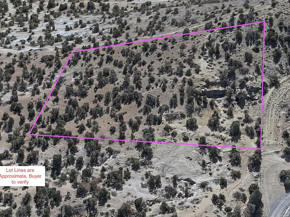 1st image of Lions Trl