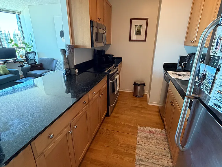 400 N Lasalle St #4212 — Photo 12
