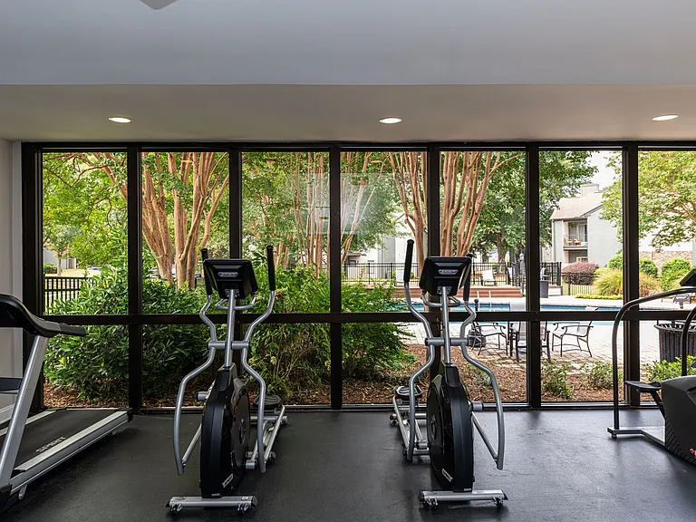 Treadmills in the Fitness Center