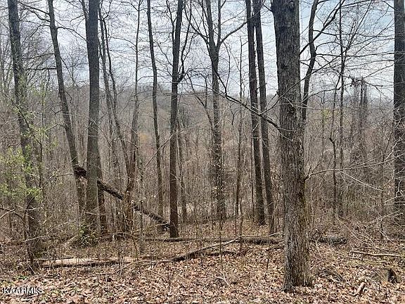 2nd image of Mountain Lake Dr
