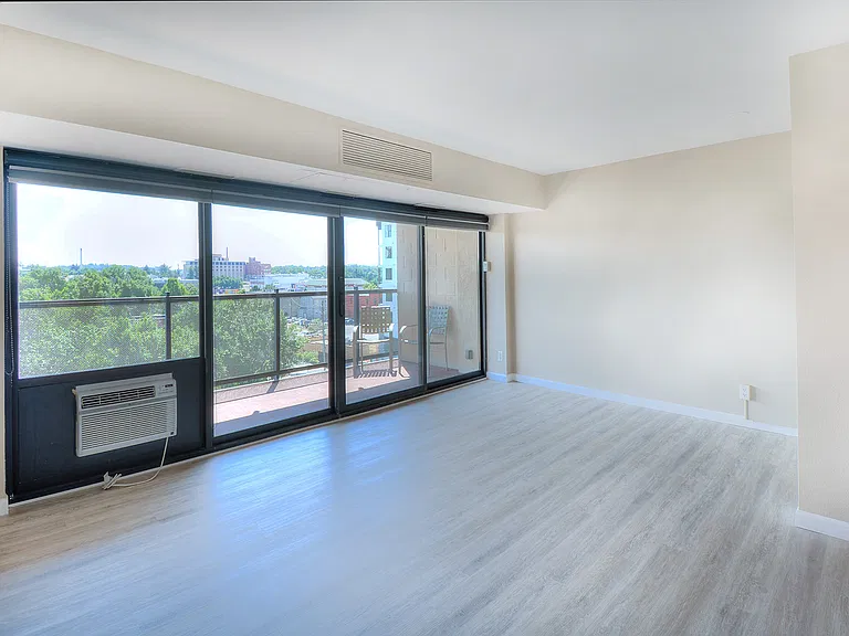 417 E Kiowa St #707 — Photo 7