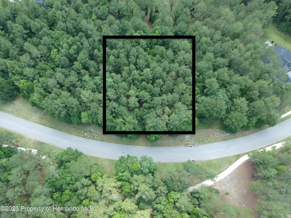 0 Summit View Dr, Brooksville, FL 34601