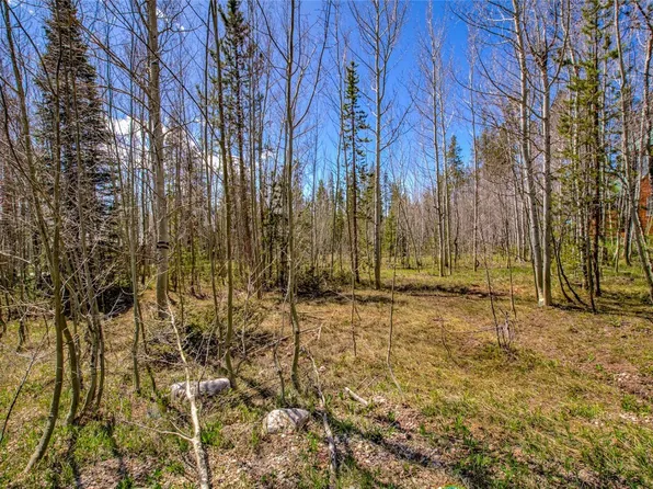 516 Royal Red Bird Dr, Silverthorne, CO 80498