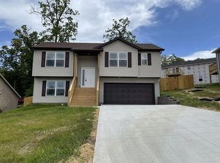 250 Kelsi Ln, Branson, MO 65616