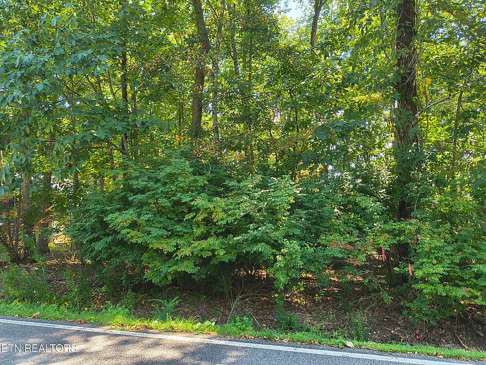 2nd image of 153 Greenwood Rd