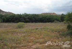 Henry Lane Cottonwood20130705_01