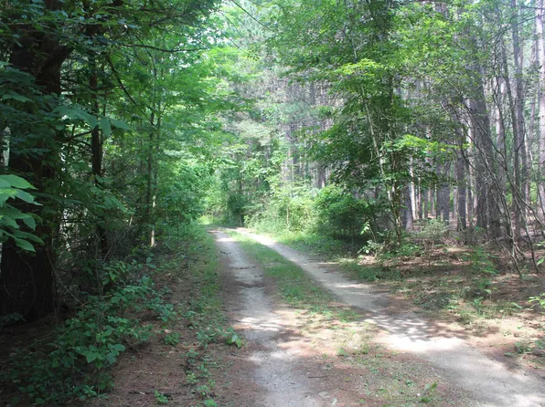 0 Whitefish Trl, Kewadin, MI 49648