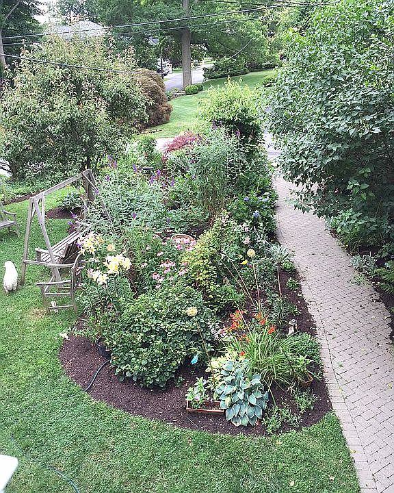 2nd image of 17 Rockridge Rd