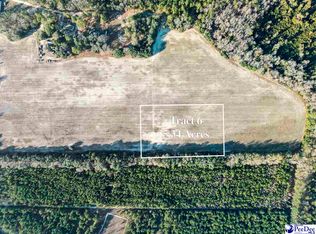 5.34 Acres Tract #6, Manning, SC 29102