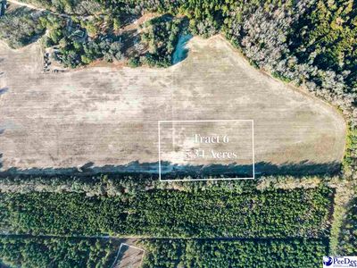 5.34 Acres Tract #6, Manning, SC, 29102