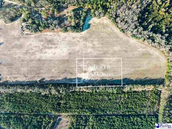 5.34 Acres Tract #6, Manning, SC 29102
