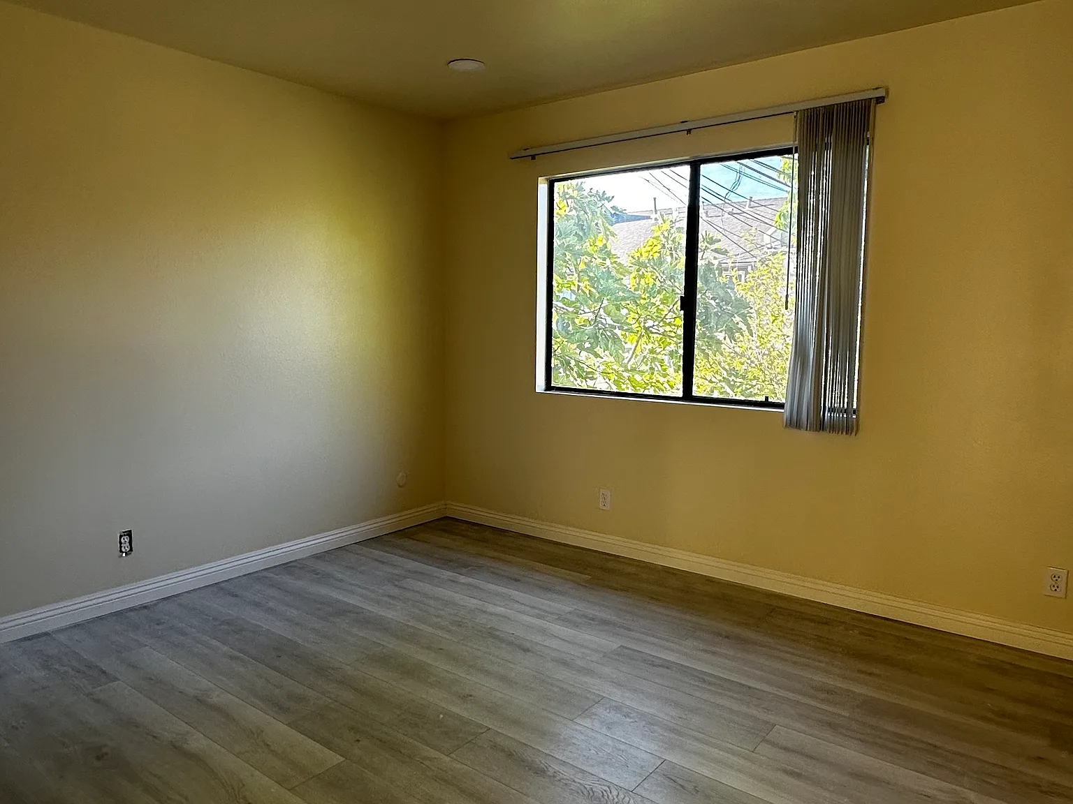 1 bed, 560 sqft, $1,900 — Photo 4