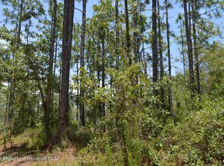 LOT 19 Hardeman Jct, Brooksville, FL 34614