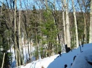 9207 S Trail Of The Lk, Baldwin, MI 49304