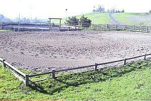 Dressage Arena