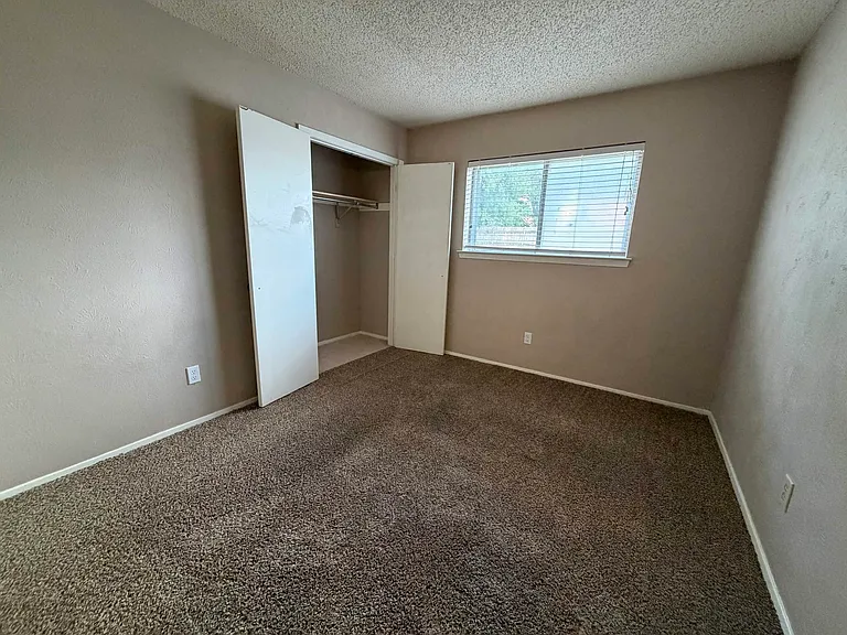 3902 Hardwood Ct — Photo 13