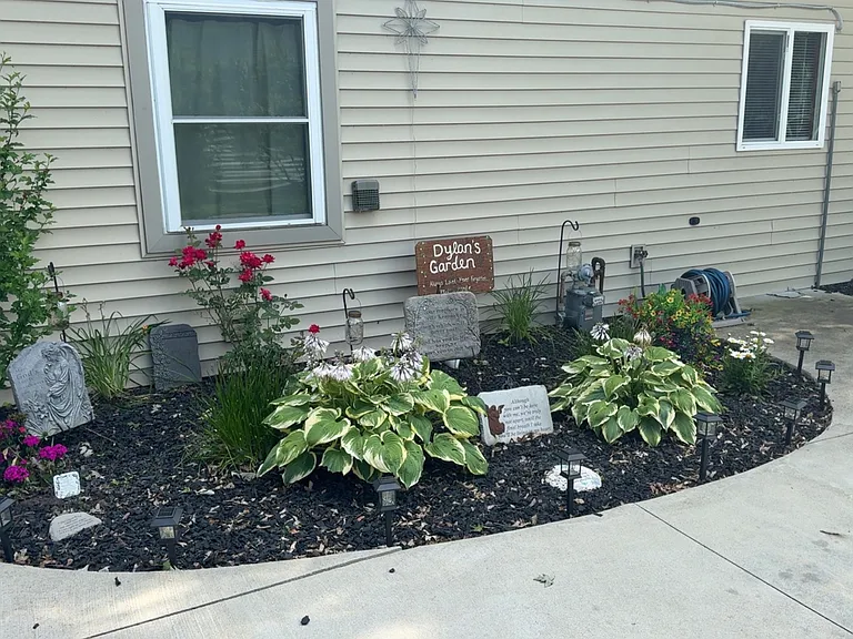 Karen St — Photo 4