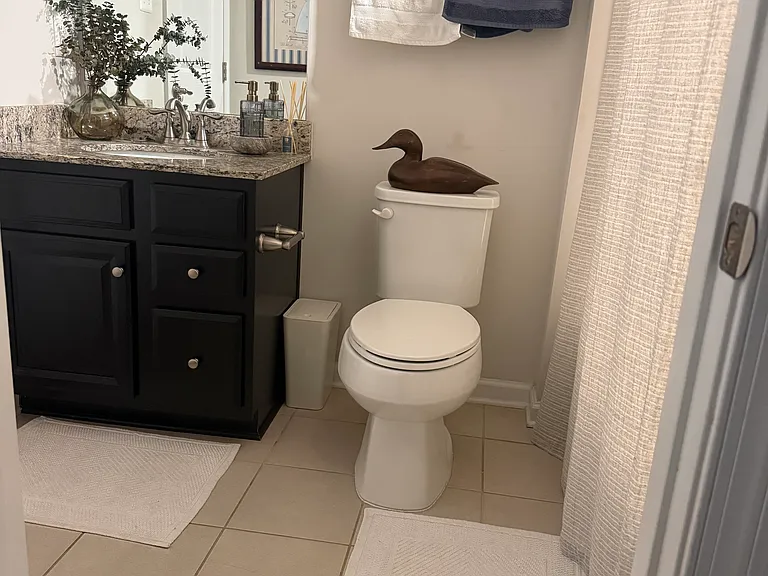 Ravenwood Dr — Photo 10