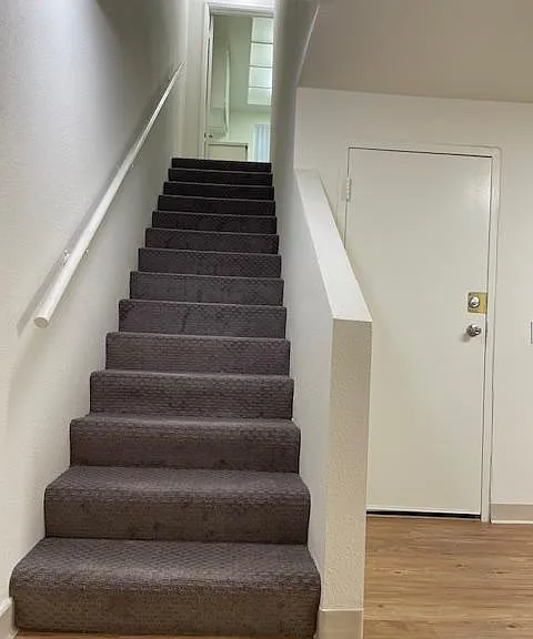 Stairs from bonus room to kitchen