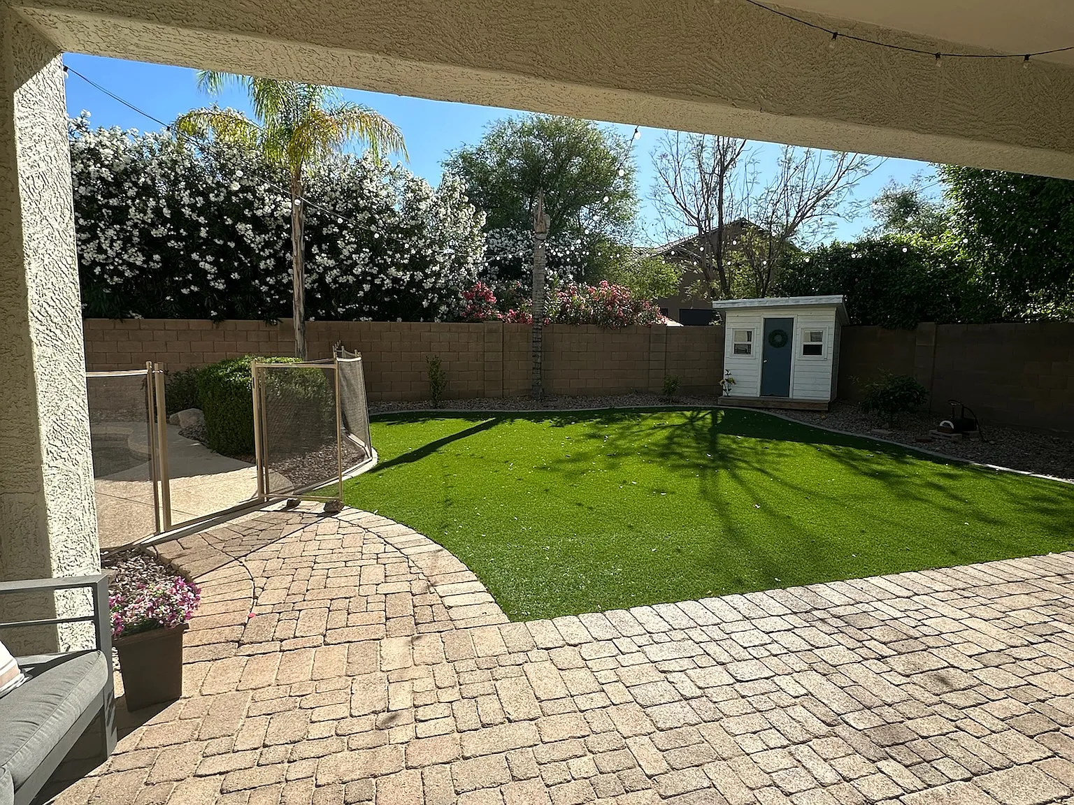 S Odessa Dr, Gilbert — Photo 4