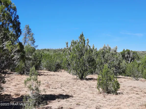 31454 W Avenida Oveja, Seligman, AZ 86337